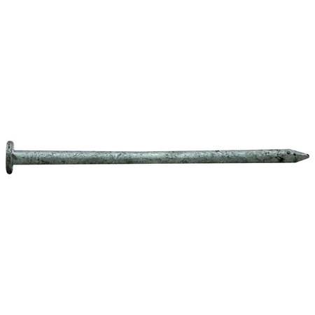 NATIONAL NAIL Common Nail, 16D, Steel, Galvanized Finish 0054198